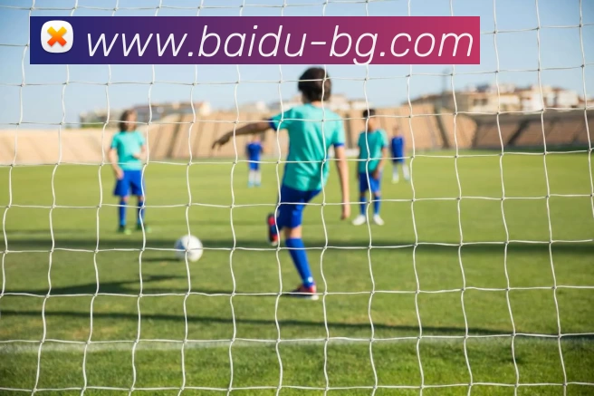 BG真人APP 封面图